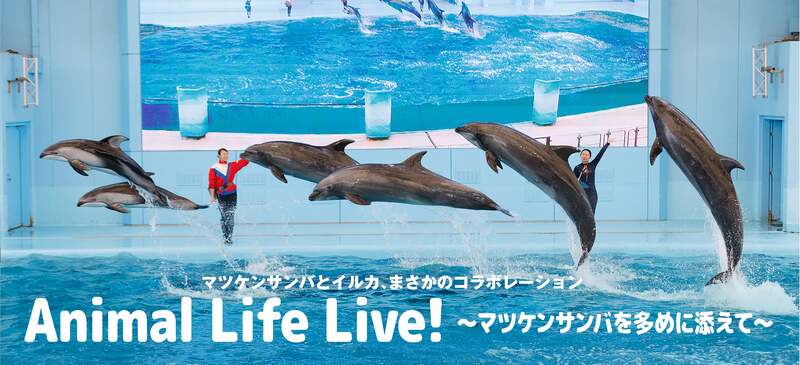 Animal Life Live!