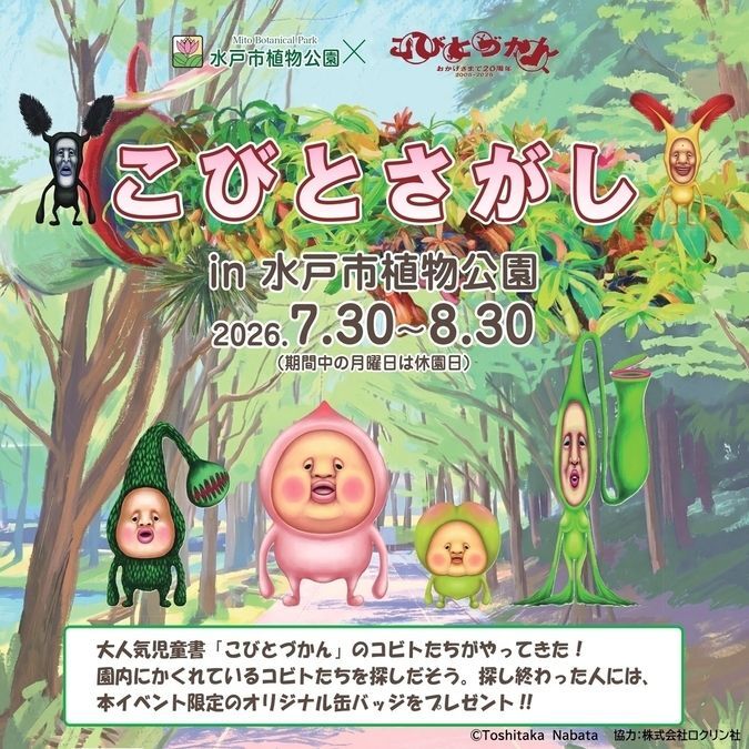 こびとさがし