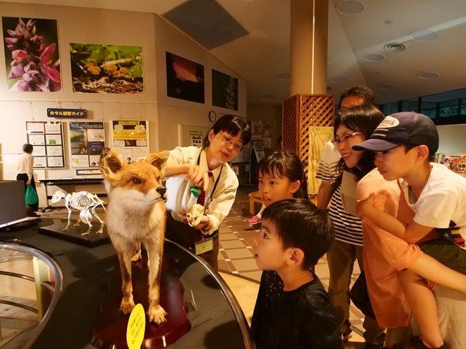 自然に親しむイベントデー「夜森ミュージアム」