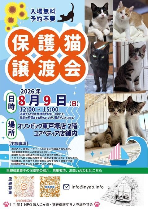にゃぶ・保護猫譲渡会@オリンピック東戸塚店