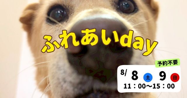 ワンコふれあいday