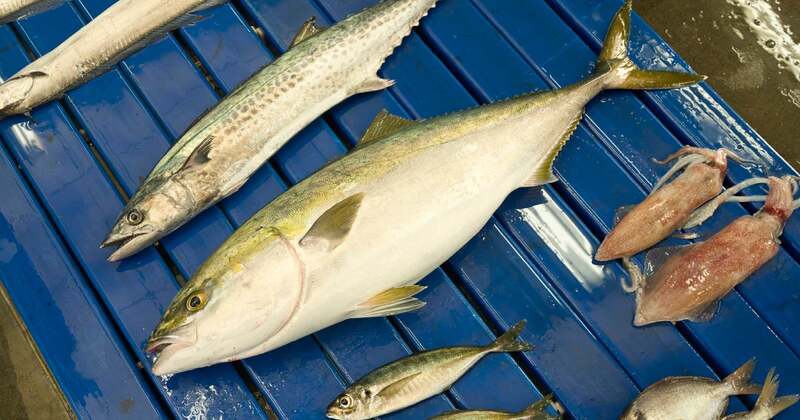 手際よく競り落とされる魚達