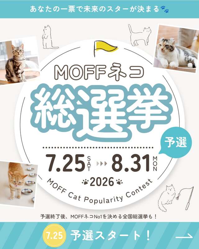 【MOFF】第5回 MOFFネコ総選挙