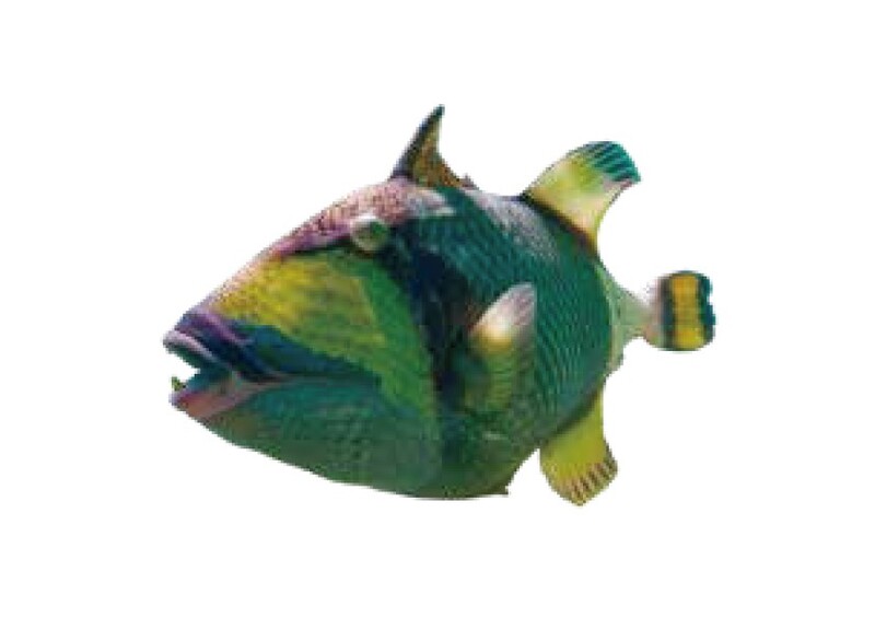 ゴマモンガラ