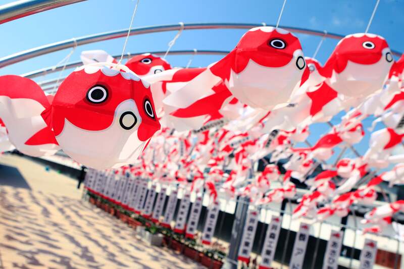 柳井金魚ちょうちん