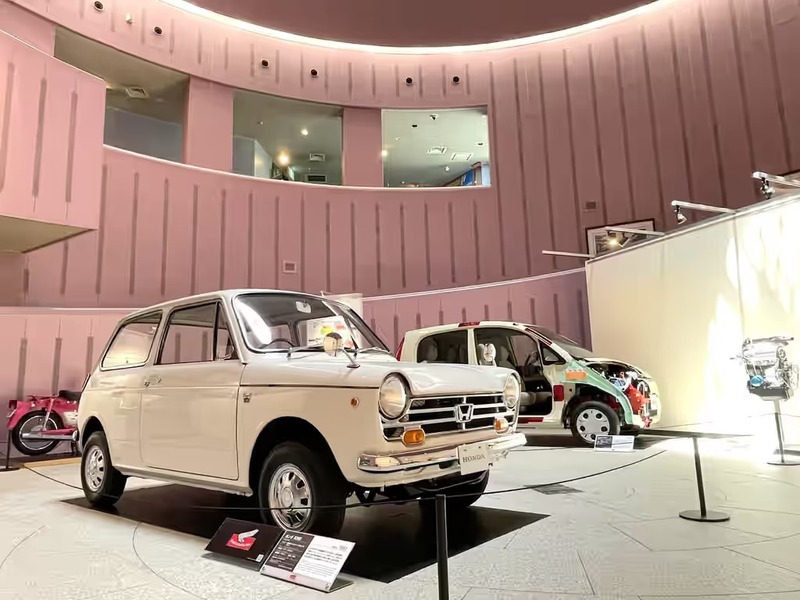 展示の様子