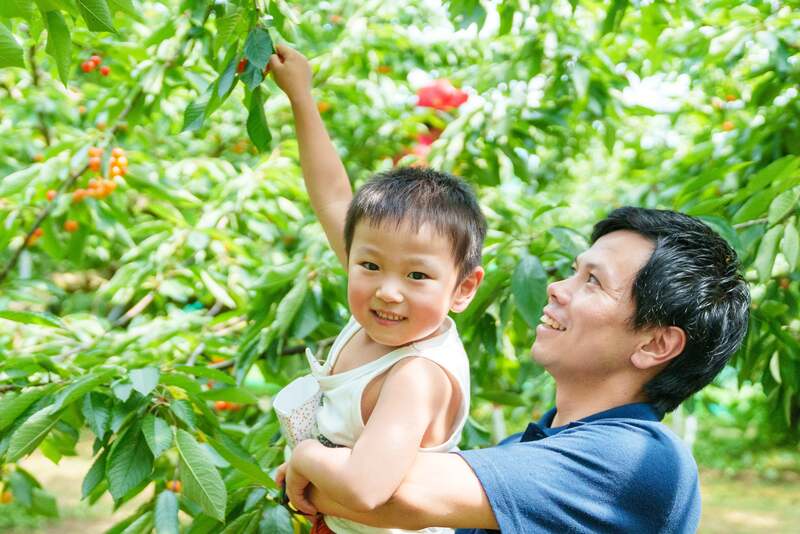 子供たちが主役の食育体験プログラムの様子