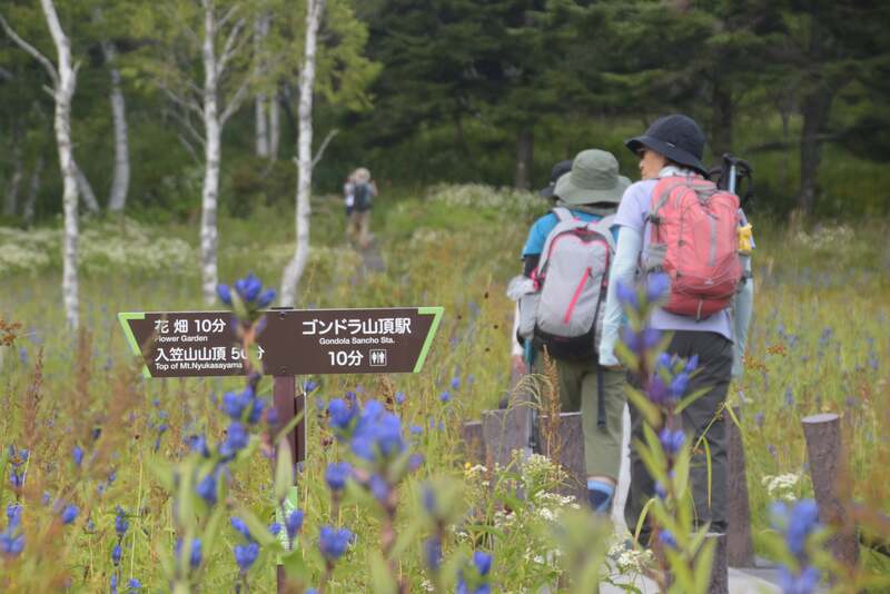 湿原エリアはゴンドラ山頂駅から徒歩10分