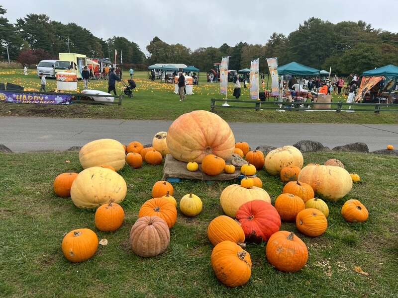 ハロウィンイベント当日の様子。芝生広場にはたくさんのかぼちゃを装飾(昨年)