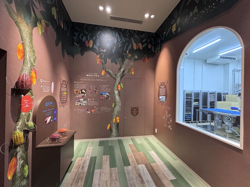 カカオポッドの中身や、重さを体感できる展示もあります