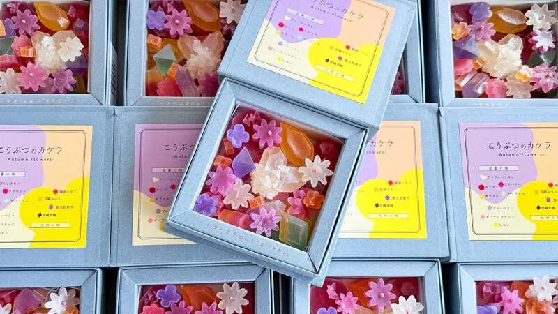 ハラペコラボ「こうぶつのカケラ 〜Autumn Flowers〜」