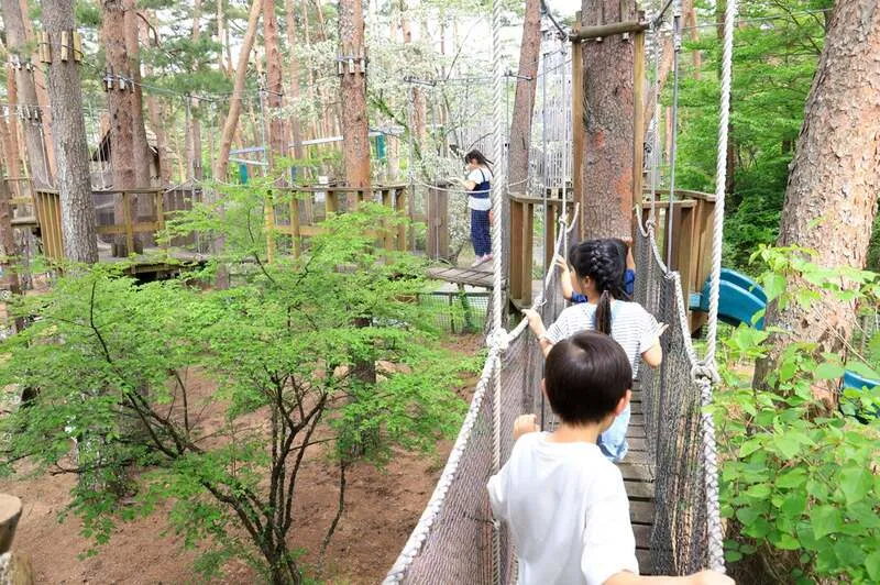 自然体験基地どんぐりコース