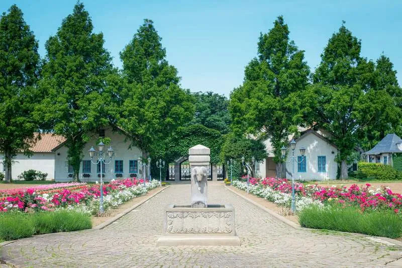 自然豊かなこもれび森のイバライドの園内風景