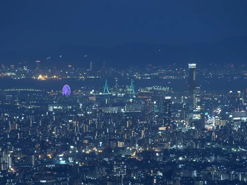 高安山駅にある展望台からの夜景