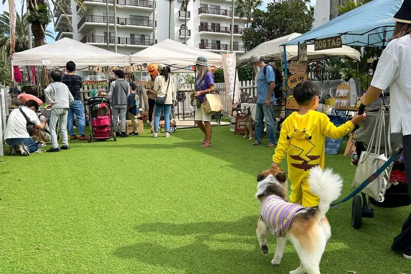 愛犬が喜ぶグッズも見つかるかも!