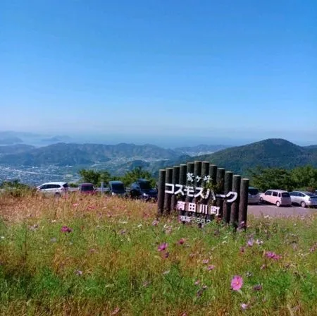 鷲ヶ峰山頂から雄大な景色を一望できる「鷲ヶ峰コスモスパーク」
