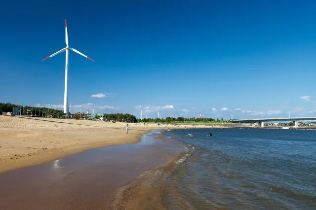 新舞子ブルーサンビーチ 浜開き(一社)知多市観光協会