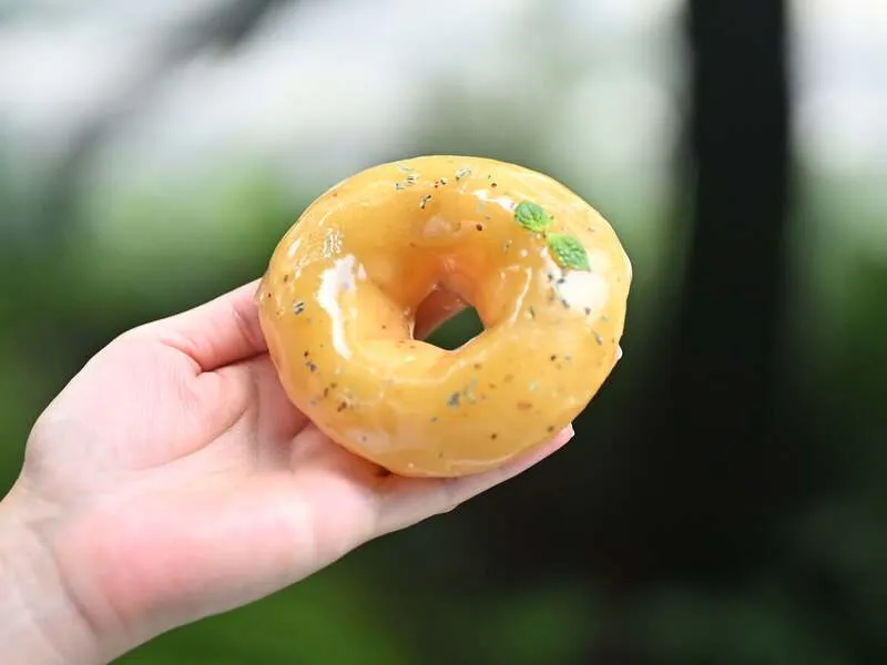 ホーカスポーカス「キウイバジル」