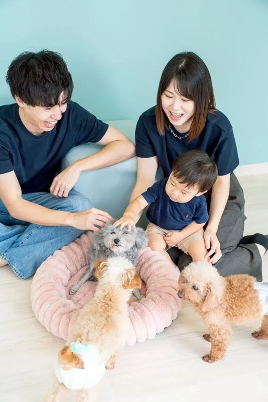 保護犬・保護猫とふれあえる店内