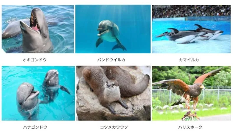 多種多様な動物たちが登場