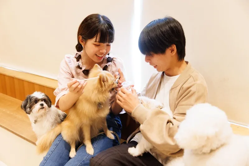 写真はMoff animal cafe ららぽーと立川立飛店の様子
