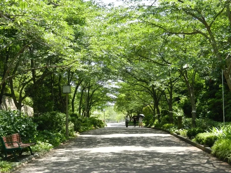 豊かな緑に囲まれた神戸総合運動公園の園内