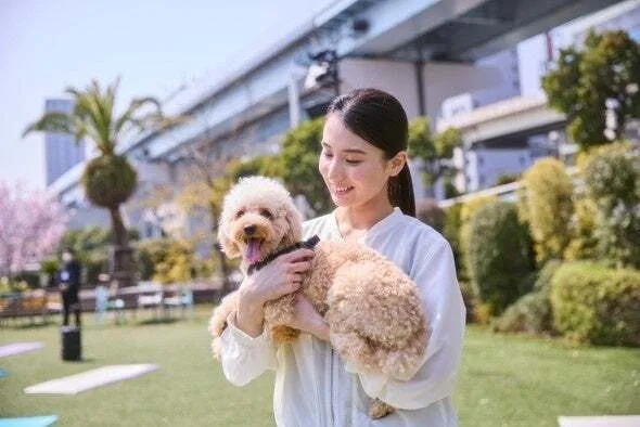 スマホで楽しむフォトレッスン(イメージ)