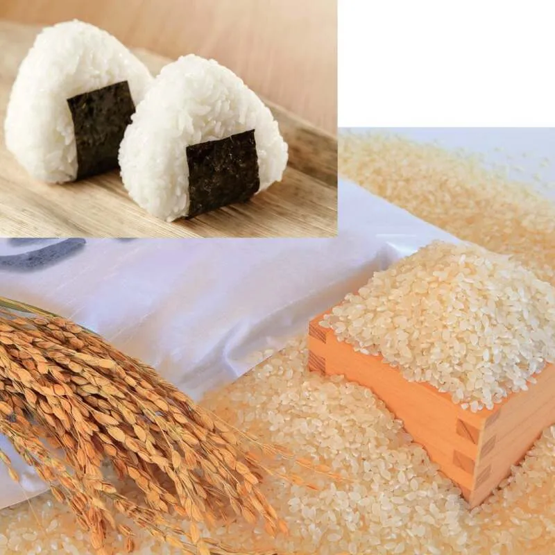 兵庫県産ブランド米 5kg