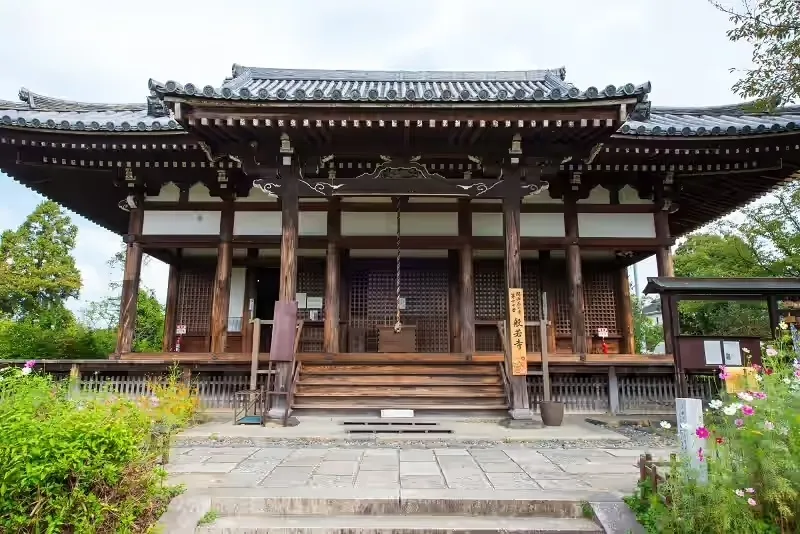 「コスモス寺」の愛称で親しまれる歴史ある「般若寺」