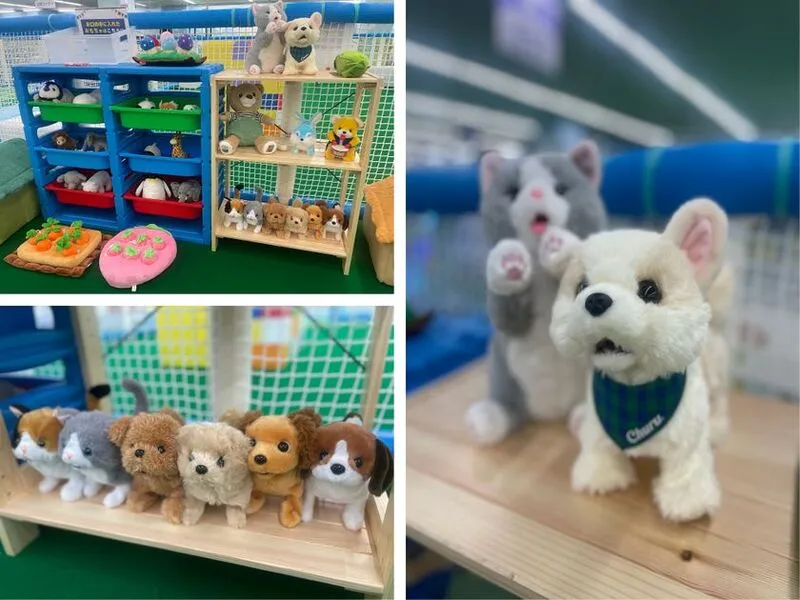 癒し動物園