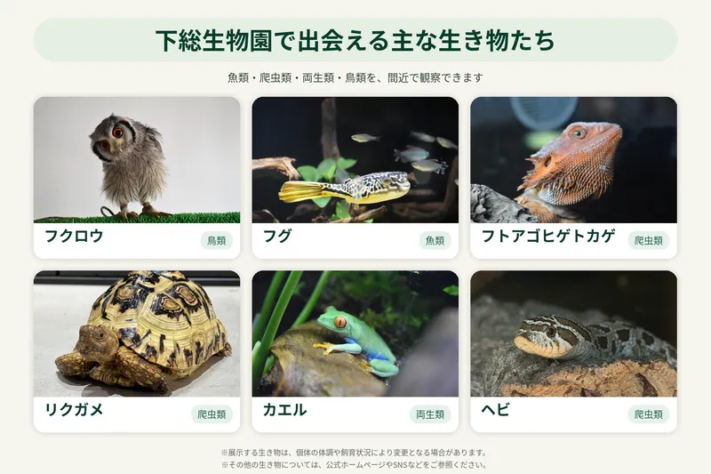 下総生物園