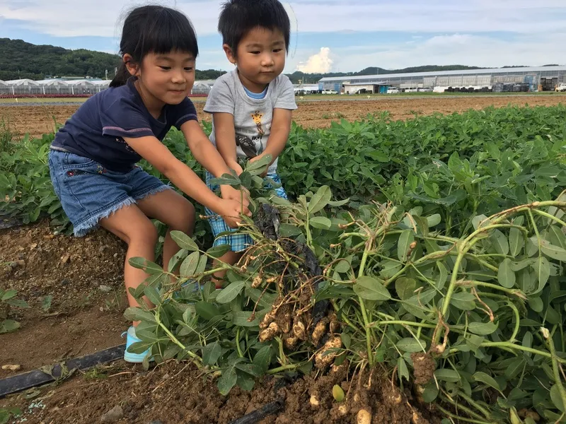 季節ごとに旬の野菜をいつでも収穫できます(画像提供:山口県観光連盟)