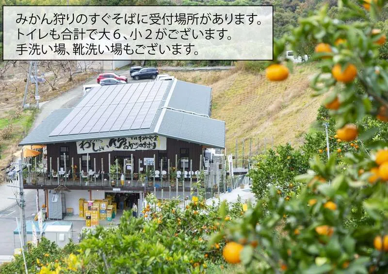 みかん園のすぐそばにある受付・販売所