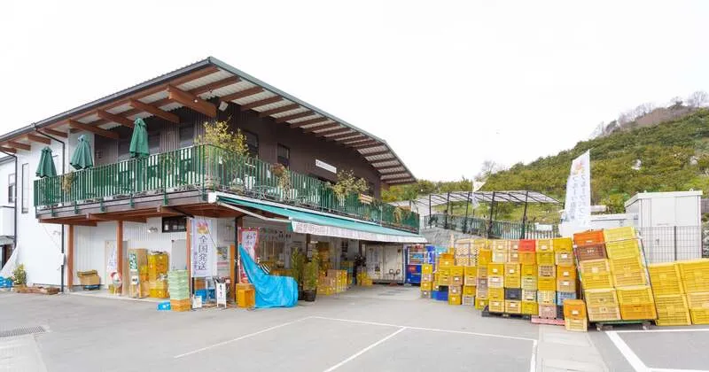 お持ち帰り用のみかんは敷地内の販売所で。お土産にもどうぞ