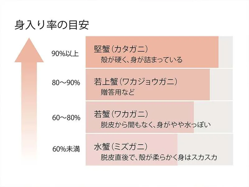 本ズワイ蟹