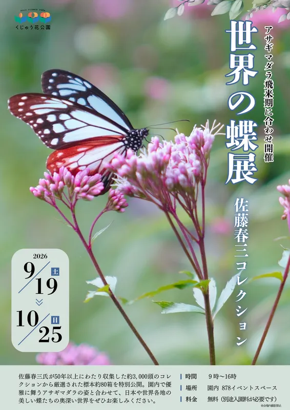 世界の蝶展
