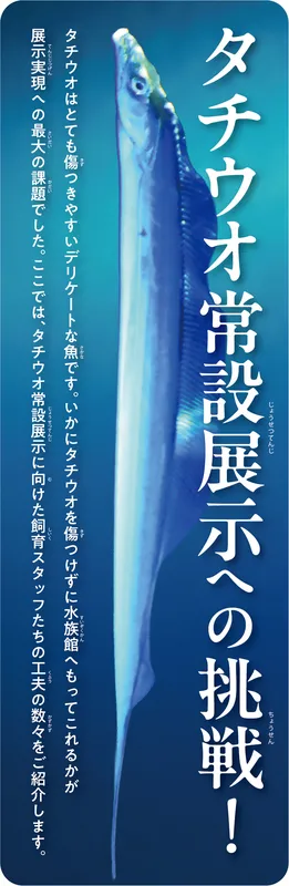 パネル一例