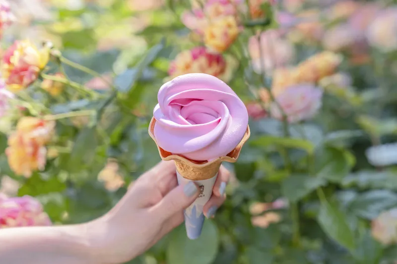 バラの香りの「ローズソフト」500円