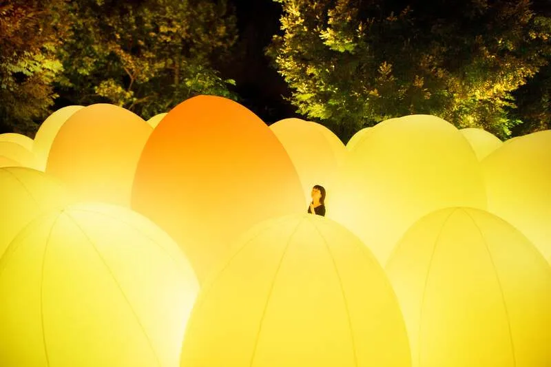 teamLab《Autonomous Resonating Life》(過去の展示風景)