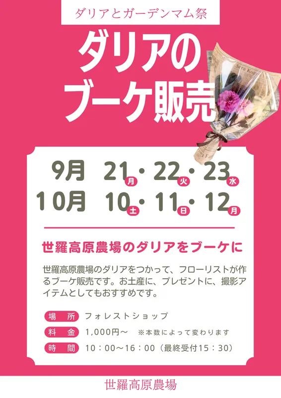 写真撮影にもぴったりなダリアのブーケ