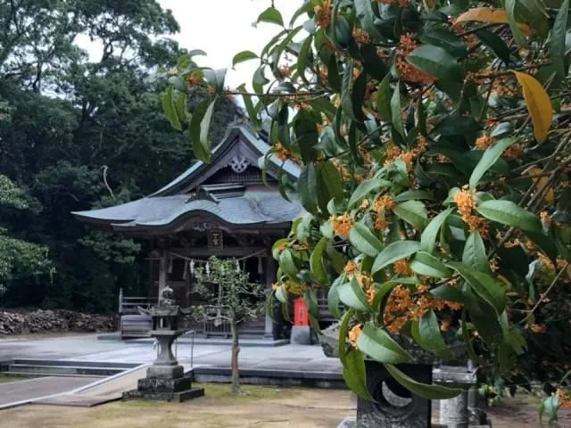 鏡神社 秋祭り(秋季例大祭)(C)鏡神社