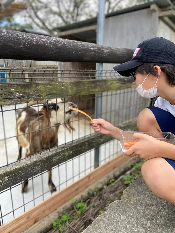 エサやり体験ができる「動物ふれあい広場」