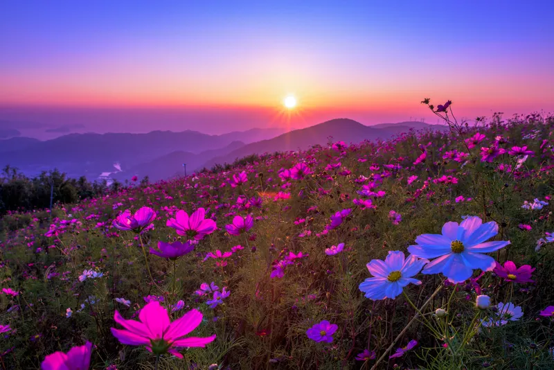 幻想的な夕暮れ時(画像提供:ラブ / PIXTA)