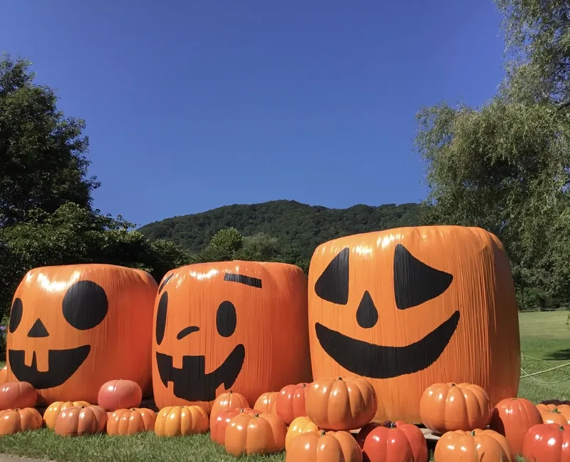 ハロウィンフェア(過去開催時の様子)