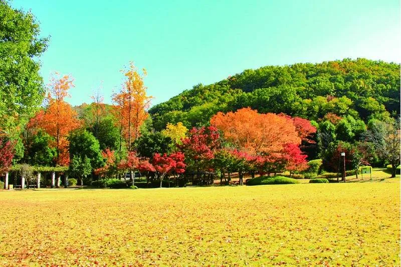 日本庭園