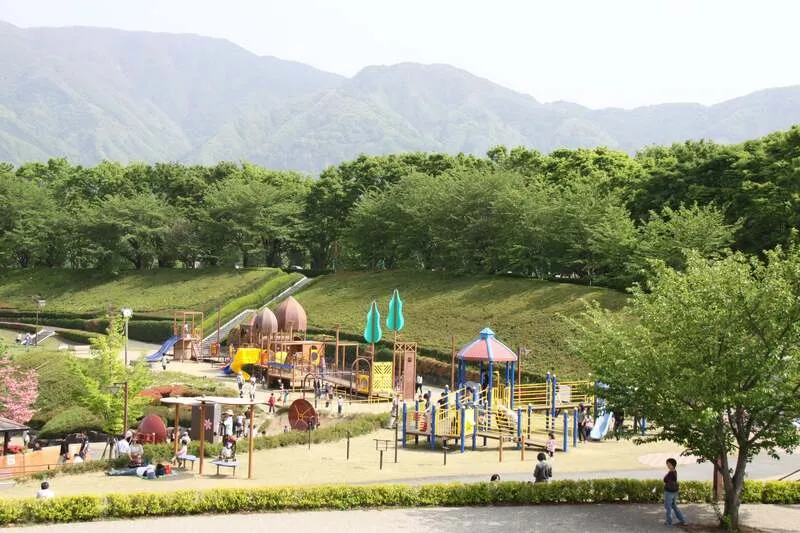 曽根丘陵公園