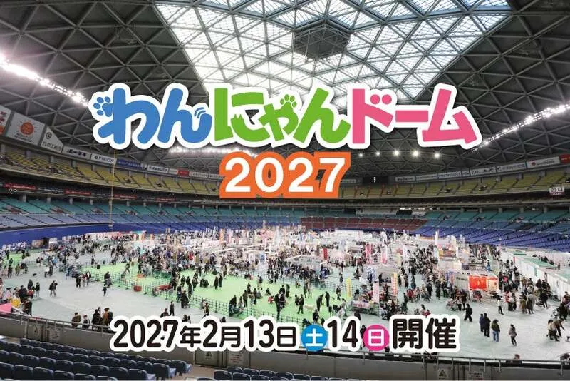 2024年のわんにゃんドームのようす