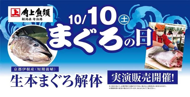 角上魚類 生本まぐろ解体実演販売