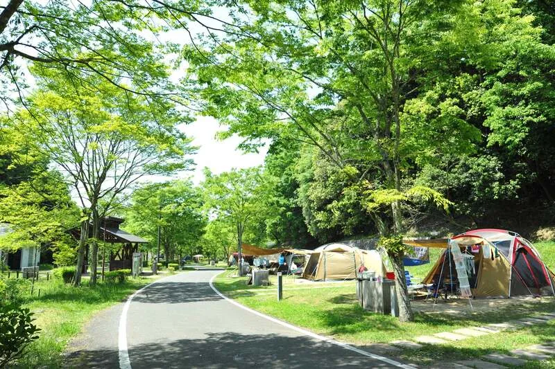 電源ポート付きの快適キャンプサイトで、秋キャンプを楽しもう。