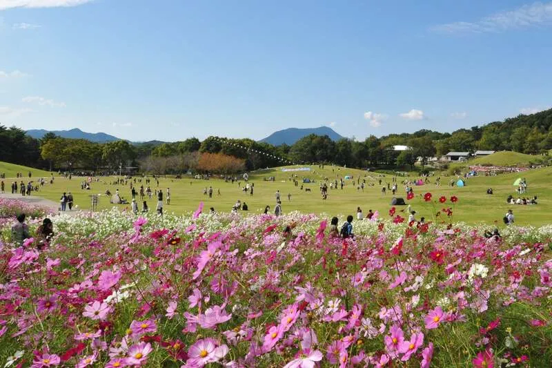 国営讃岐まんのう公園
